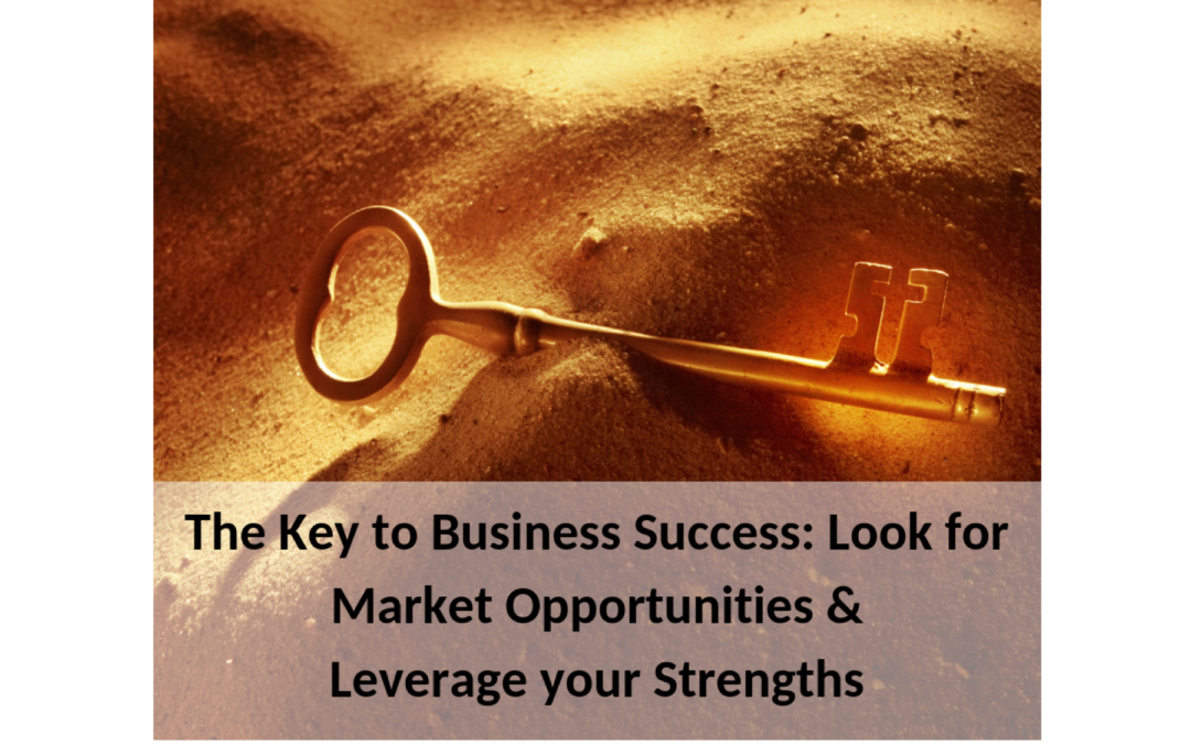 SWOT Analysis Business Growth Success Mona Tenjo Respect Strategy